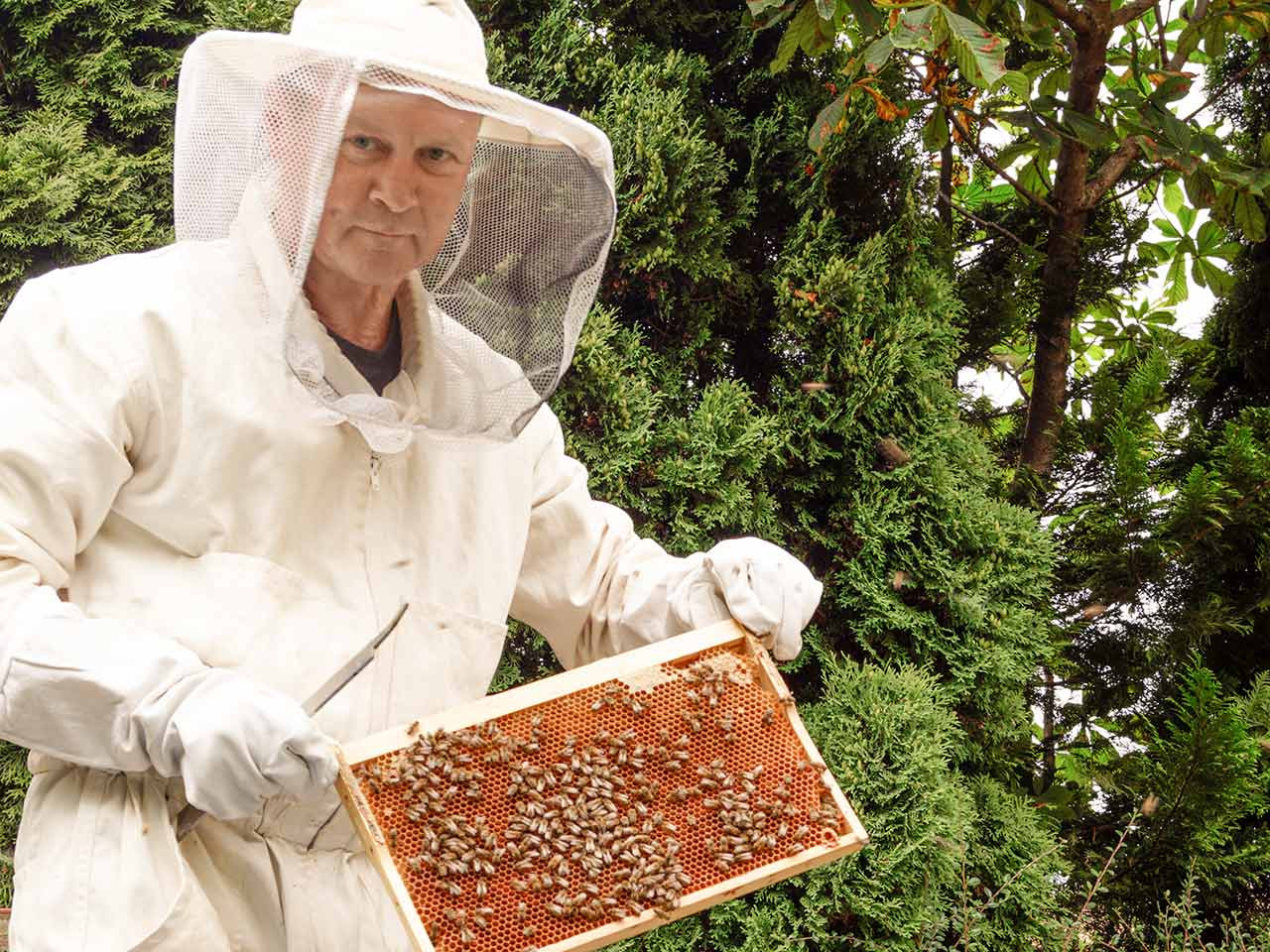 Larissa Krüger und Steffen Wolkenhauer geben Bienen ein neues Zuhause