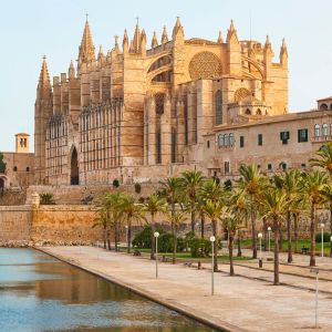 Außenansicht der Kathedrale La Seu in Palma de Mallorca. Im Vordergrund säumen Palmen einen öffentlichen Platz mit Wasserbassin.
