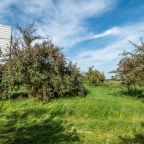 Auf einer Streuobstwiese sind reich tragende Apfel- und Birnenbäume zu sehen. Im linken Hintergrund erkennt man einen Teil der Lärmdämpfungsanlage.