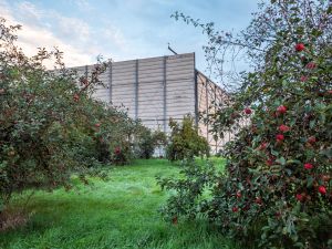 Äpfel- und Birnenbäume auf der Streuobstwiese in direkter Nähe zur Lärmdämpfungsanlage.