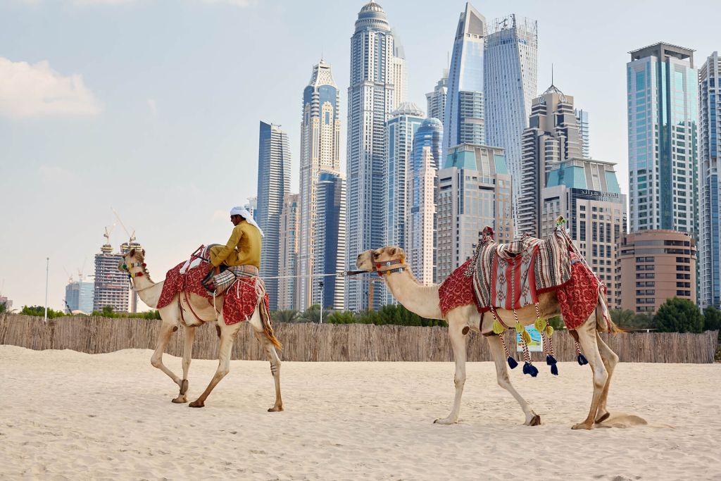 Ein arabischer Mann auf einem Kamel am Strand, Skyline von Dubai im Hintergrund